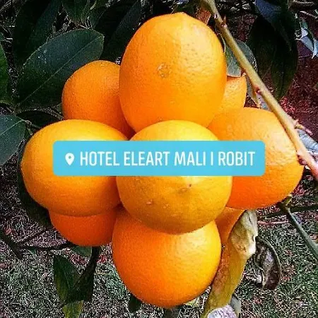 Eleart Aparthotel Golem (Tirana)