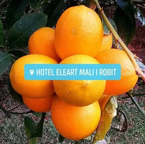 Eleart Aparthotel Golem (Tirana)